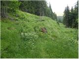 Bad Kleinkirchheim - Rossalmhütte